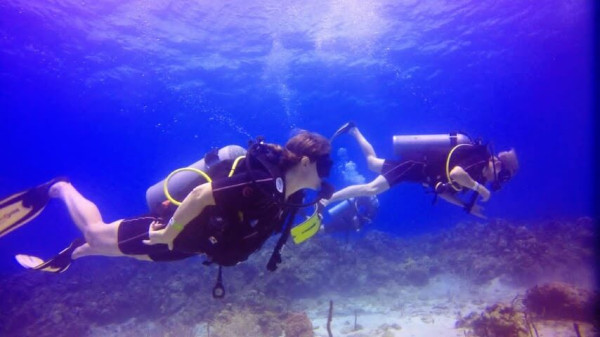 Scuba Diving at Catalina Island